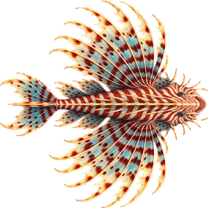 Peixe-leão-das-lagunas